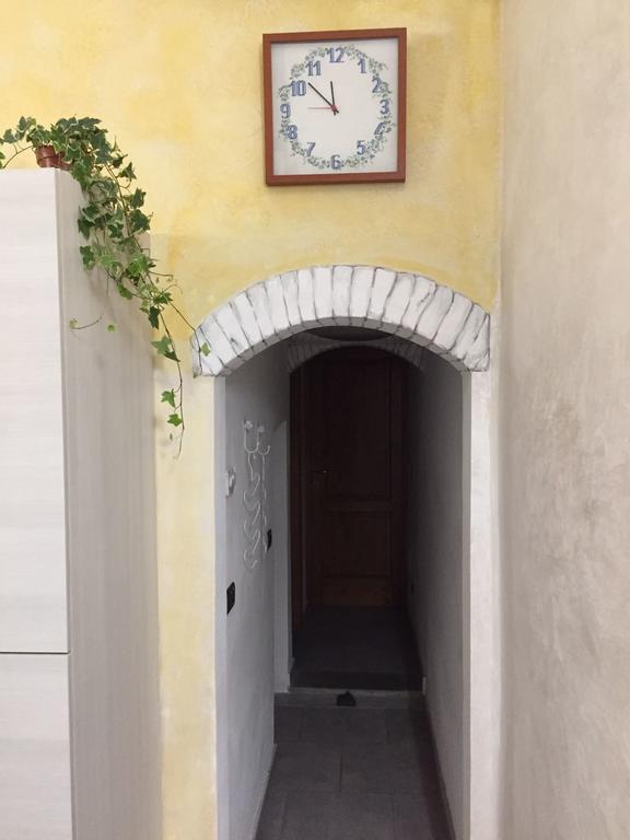 Garden In Florencia