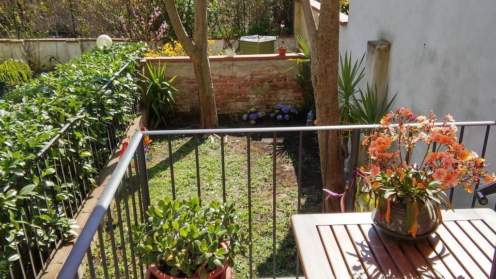 Garden In Florencia